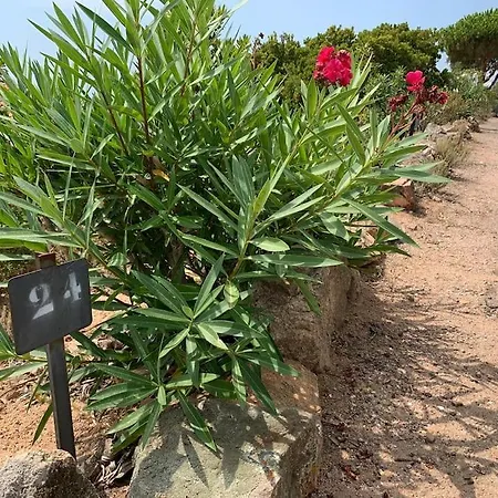 Ferienhaus Maison Corallo Splendide Vue Porto-Vecchio (Corsica)