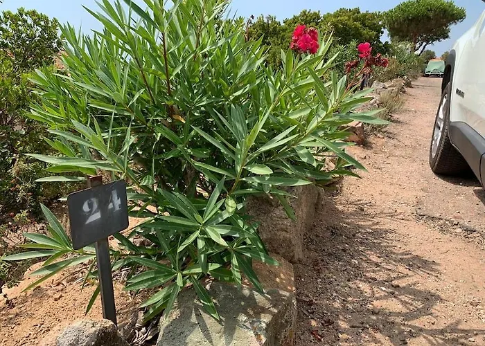 Casa vacanze Maison Corallo Splendide Vue Porto Vecchio