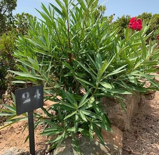 Maison Corallo Splendide Vue Porto Vecchio
