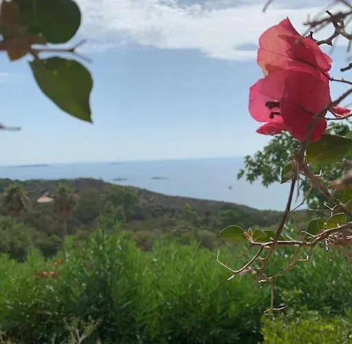 بيت للعطل Maison Corallo Splendide Vue *